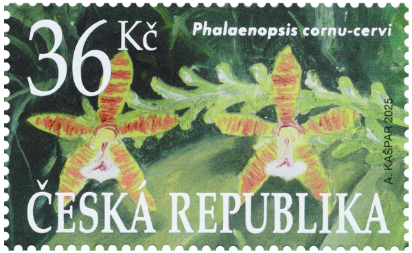 Bot. zahrada Brno: 36 Kč / (A. Kašpar)