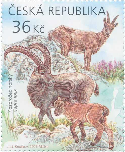 Evropská zvířata: 36 Kč / (J. a L. Knotkovi/M. Srb)